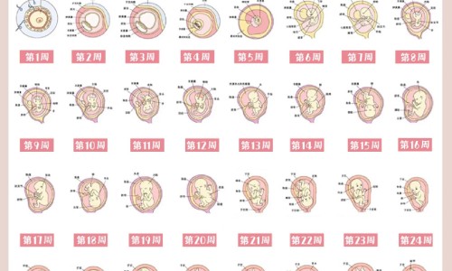 鳗鱼 脂肪 减肥网 - 为你提供鳗鱼热量高吗减肥可以吃吗、鳗鱼减肥还是增肥