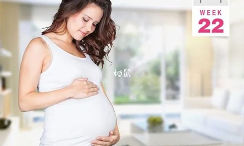 鳗鱼减脂吗-鳗鱼 脂肪 减肥网 - 为你提供鳗鱼热量高吗减肥可以吃吗、鳗鱼减肥还是增肥